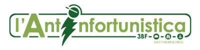 L' Antinfortunistica 3BF